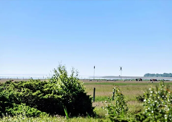 Hébergement de vacances Oh434-hadsund-sommerland-31 *